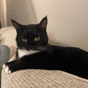 Meet your Posher, Sessaley
